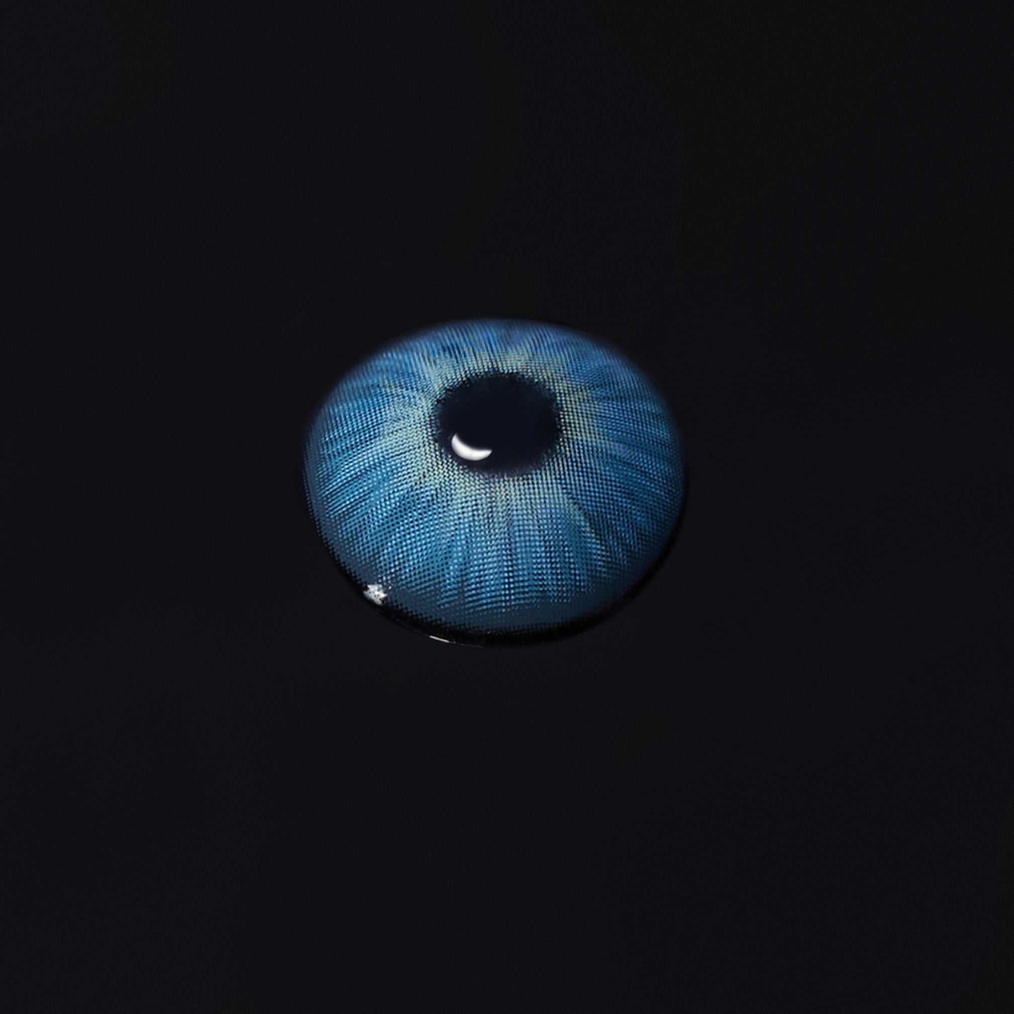 APPEAL BLUE (Duración 1 año) ¡últimas unidades! - LookPerfect